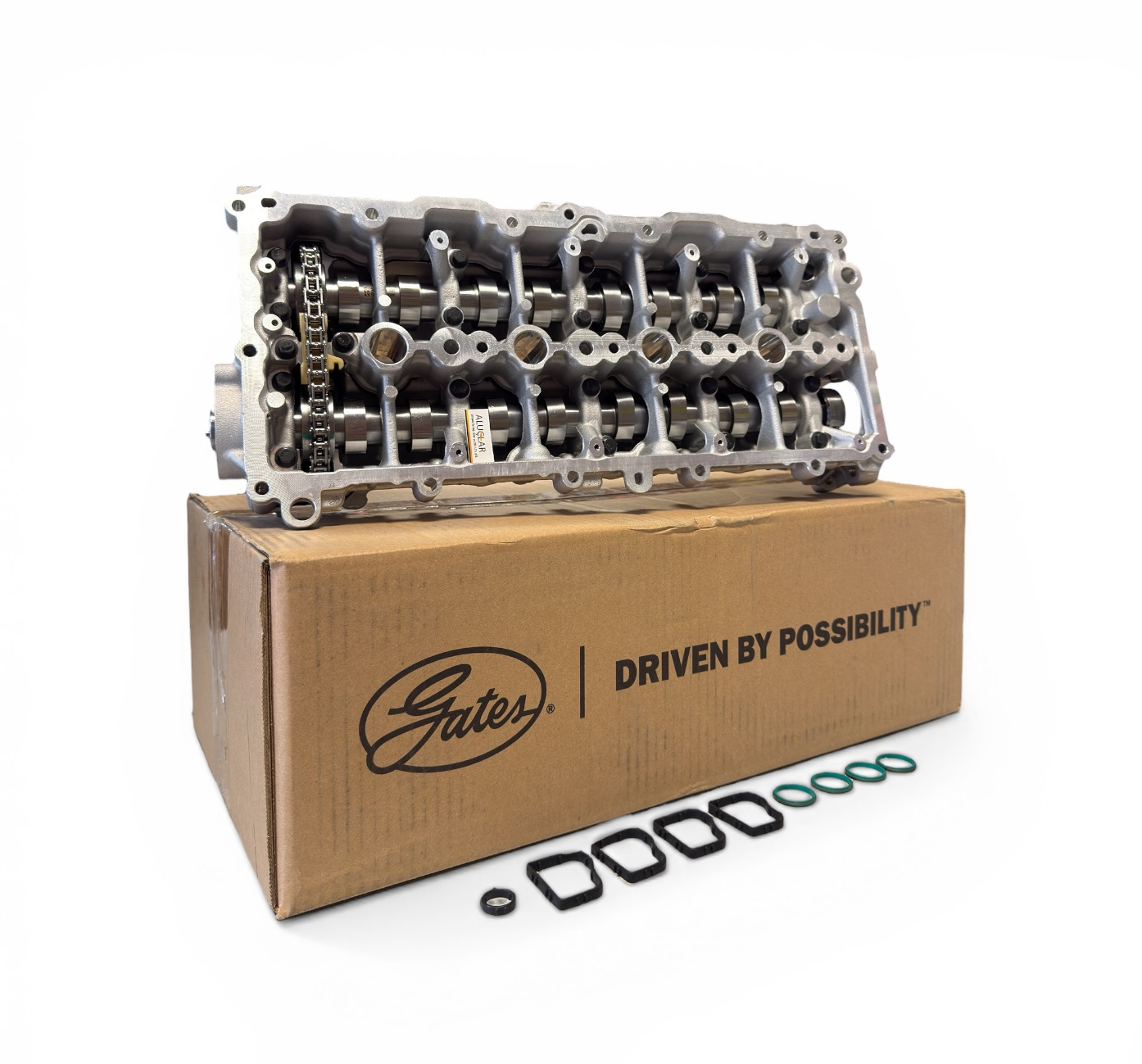 Opel Combo E 1.5 Dizel Eksantrik Kiti 8MM GATES